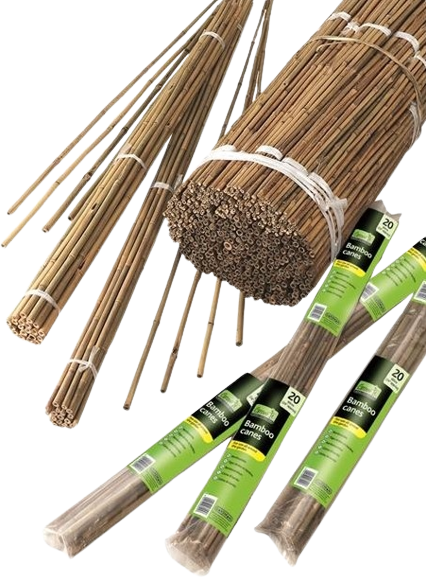 Acquistare Canne di Bambù 60 cm confezione da 20 pezzi – Gardman? Ordinate  online su Florablom