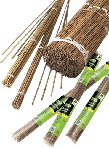 Canne di Bambù 60 cm confezione da 10 pezzi – Gardman