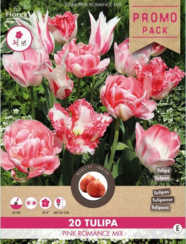 Tulipano Pink Romance Mix