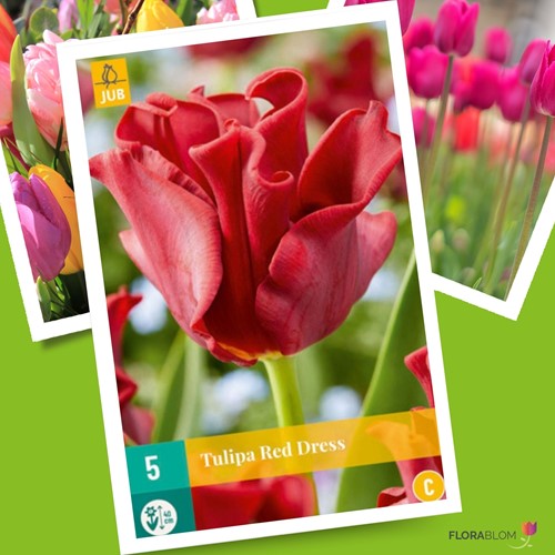 Tulipani Red Dress – Tulipa coronet