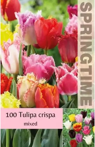 Tulpen Crispa Mix Grootverpakking (XL)
