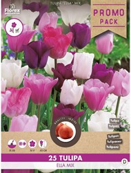 Tulipani Ella mix - Tulipa