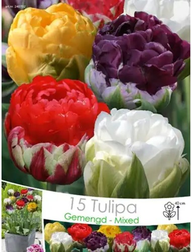 Tulipano Ice Cream Mix - Tulipa (confezione grande)