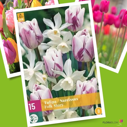 Miscela di Tulipani e Narcisi Folk Story