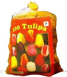 Tulipano Triumph Mix (Confezione grande)