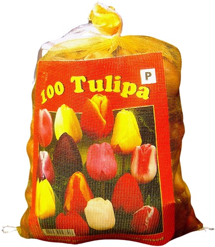 Tulipano Triumph Mix (Confezione grande) - Tulipa