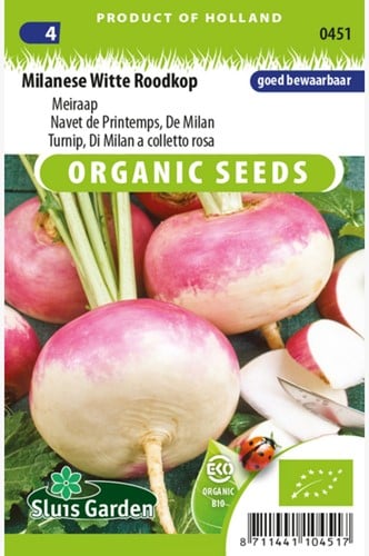 Rapa bicolore, De Milan EKO (Brassica)