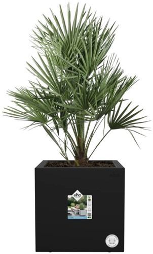 Vivo Next Vierkant Wielen 40 cm Zwart – Elho-3