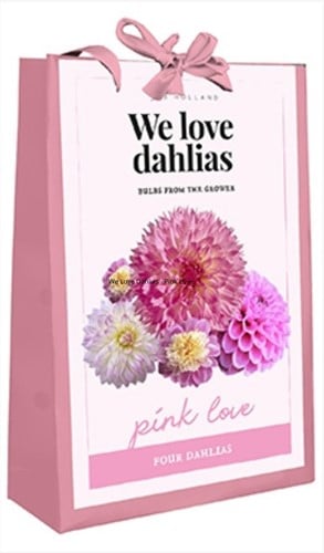We Love Dahlias - Pink Love (Bulbi da fiore in borsetta)