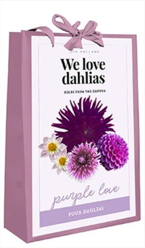 We Love Dahlias - Purple Love (Bulbi da fiore in borsetta)
