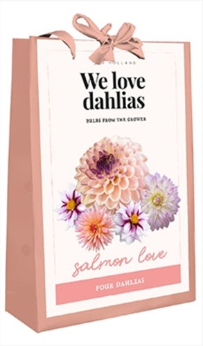 We Love Dahlias - Salmon Love (Bulbi da fiore in borsetta)