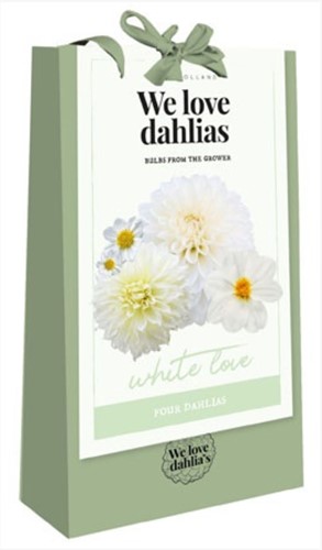 We Love Dahlias - White Love (Bulbi da fiore in borsetta)