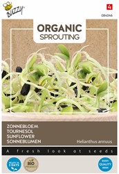 Organic sprouting Girasole BIO - Helianthus annuus