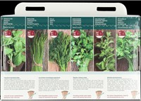 6 Erbe Aromatiche Popolari da Cucina – Buzzy Collection-2