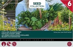 6 Erbe Aromatiche Popolari da Cucina – Buzzy Collection
