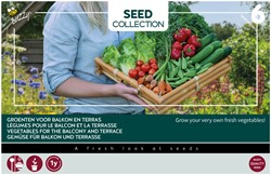 Collezione 6 Ortaggi per Balcone e Terrazzo – Buzzy Collection