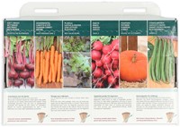 Collezione 6 Ortaggi facili da coltivare – Buzzy Collection-3