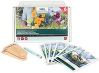 Collezione 6 fiori colorati per principianti – Buzzy Collection-2