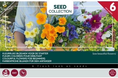 Collezione 6 fiori colorati per principianti – Buzzy Collection