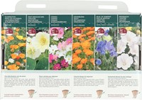 Collezione 6 fiori colorati per principianti – Buzzy Collection-3