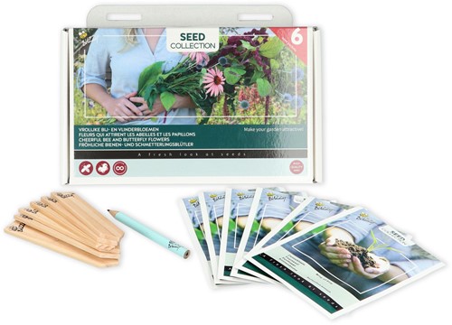 Collezione di 6 varietà di fiori per api e farfalle – Buzzy Collection-2