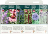 Collezione di 6 varietà di fiori per api e farfalle – Buzzy Collection-3