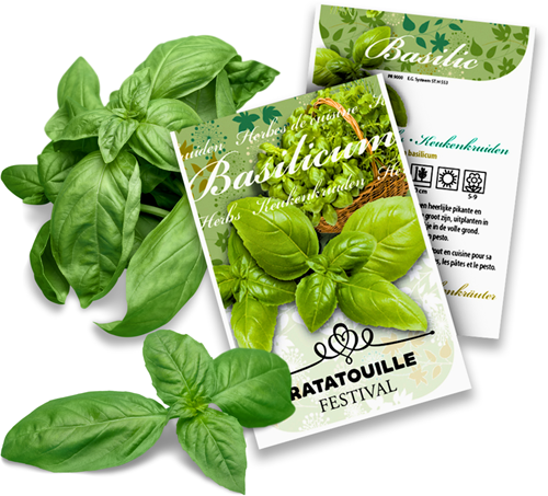 Basilico bustine di semi di erbe aromatiche personalizzate 1.000 pezzi