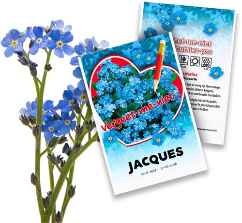 Nontiscordardimé - Myosotis bustine di semi di semi di fiore personalizzate 5.000 pezzi