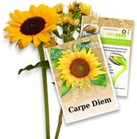 Girasole bustine di semi di semi di fiore personalizzate 20 pezzi