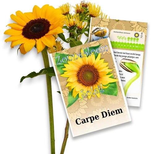 Girasole bustine di semi di semi di fiore personalizzate 250 pezzi