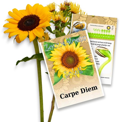 Zonnebloem zakjes persoonlijk bedrukt - 500 stuks