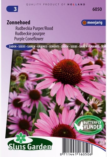 Echinacea Purpurea - Echinacea